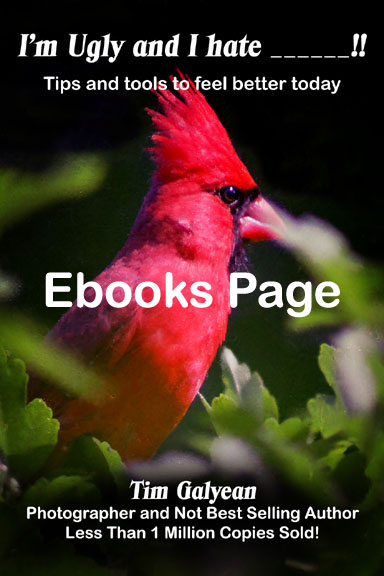 Van life, Ebooks, Tim, other ebooks, 